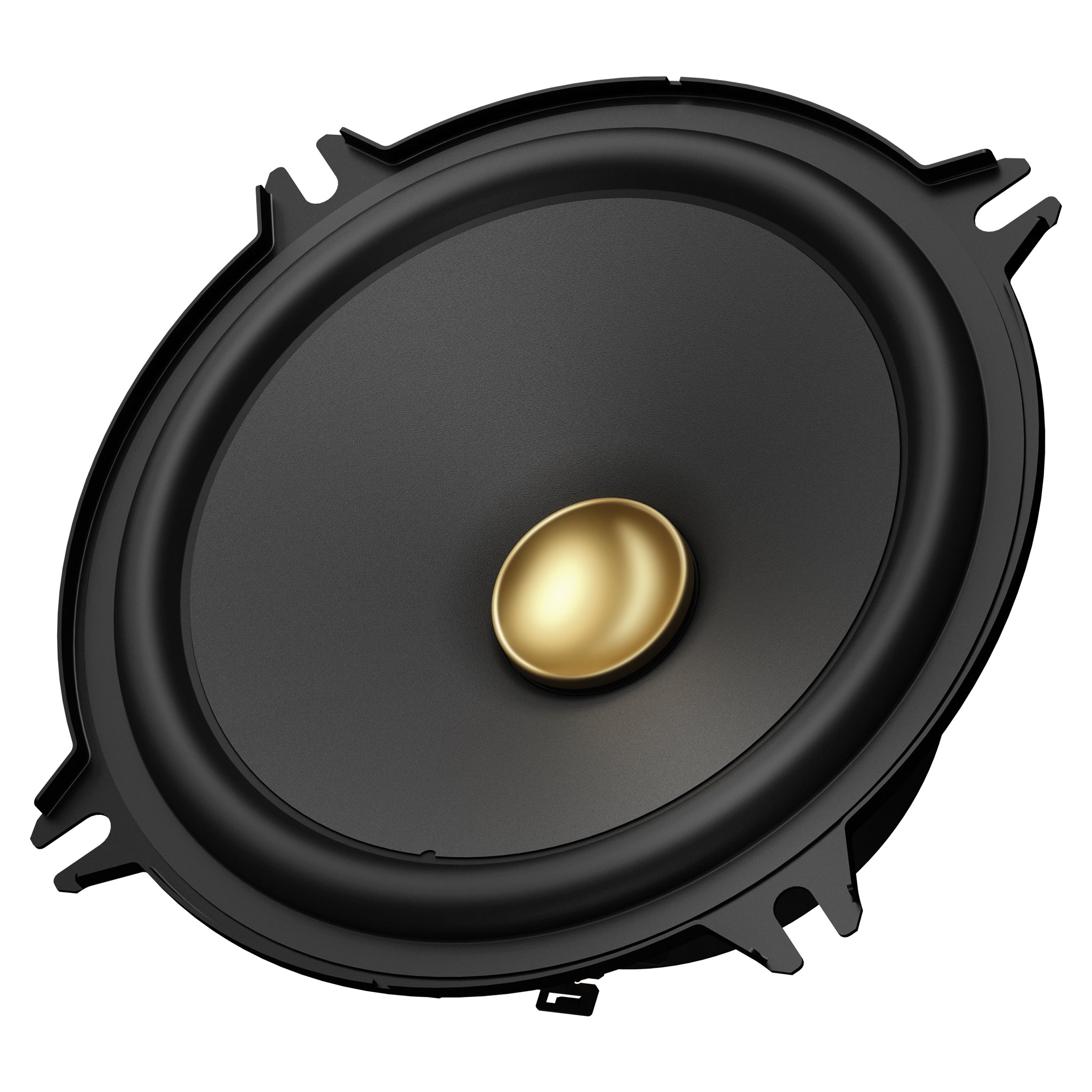 Pioneer_TS-A1301C_Left Angle Image