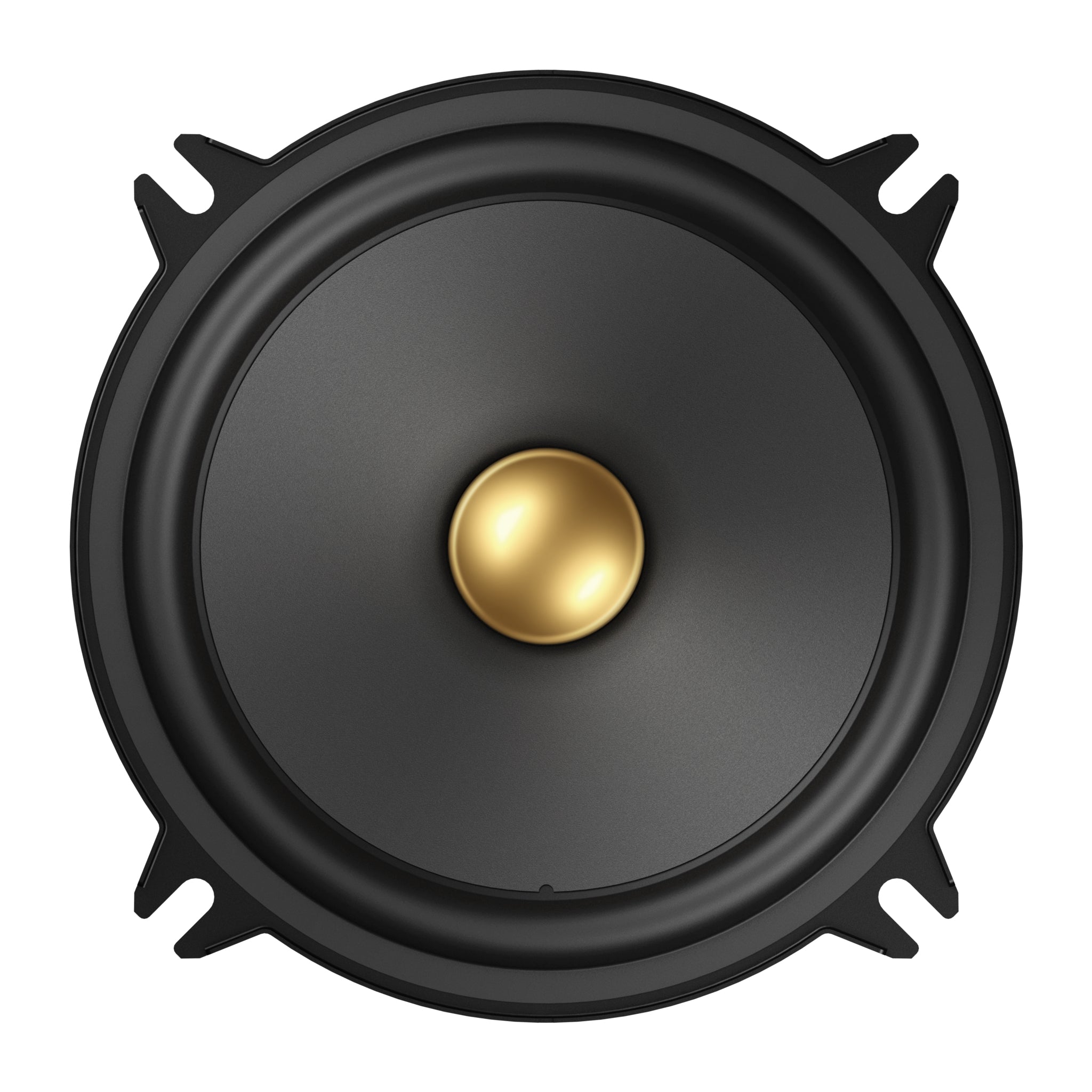 Pioneer_TS-A1301C_Installed Image