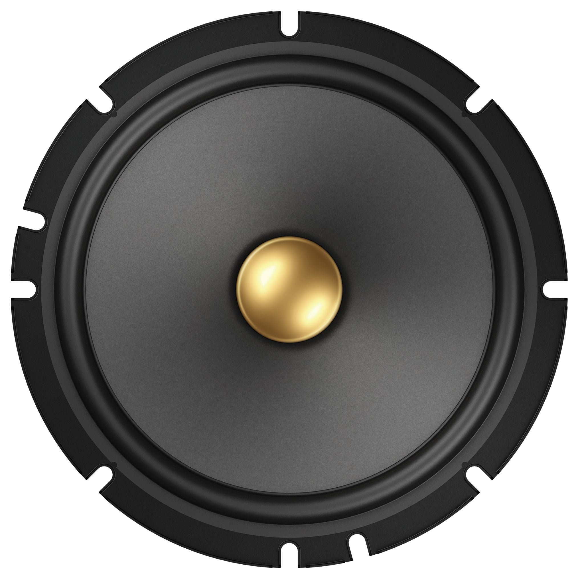 Pioneer_TS-A1601C_Left Angle Image